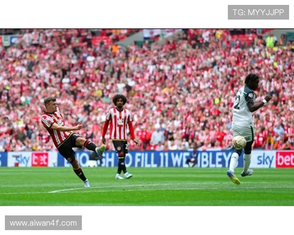 桑德兰俱乐部宣布新任主帅上任 力求带领球队冲击英格兰顶级联赛