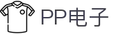 PP电子·(中国)官方网站